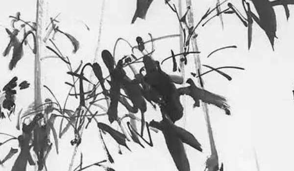 1－18樓層哪層空氣最好 黃金樓層買房首選