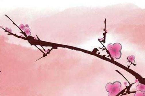 2022年手機號屬豬幸運號碼是什麼數字 生肖豬選吉利號