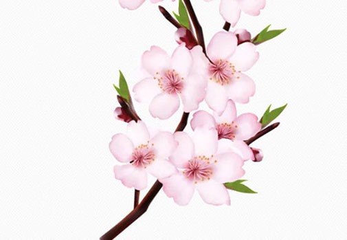 木命手機號碼44444 順口吉祥的號碼靚號