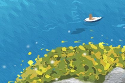 辦公室養魚的風水講究
