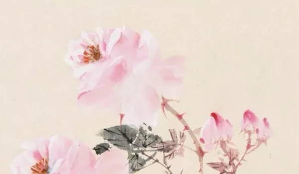 床下空的好還是帶儲物櫃的好 儲物櫃選擇要三思