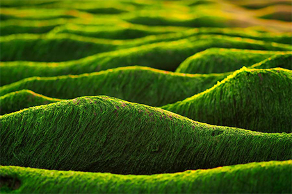 風水中的老虎地怎麼取穴 虎地的真實案例