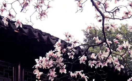 哪天出生的人貴人命 做事坦盪能得貴人