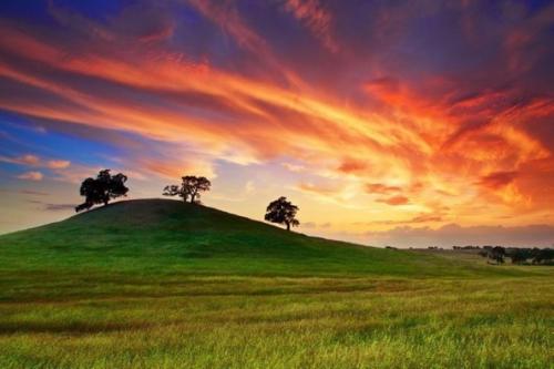 靈璧石可以擺放在客廳東南角嗎?