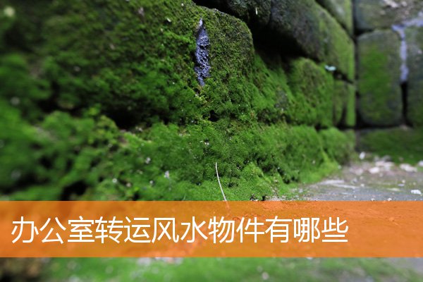 辦公室轉運風水物件有哪些
