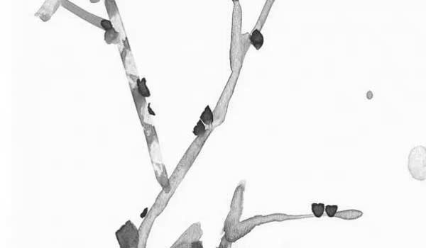 坐北朝南大門什麼顏色最好 財源滾滾生意興隆