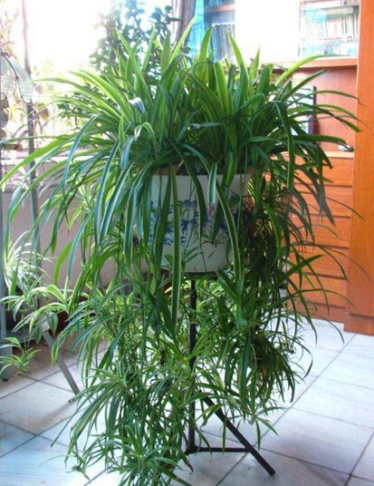 大門朝向西南好嗎 朝向不好的化解之法