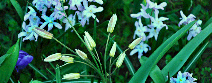 陽台萬萬不要擺放這些東西,尤其是第三個