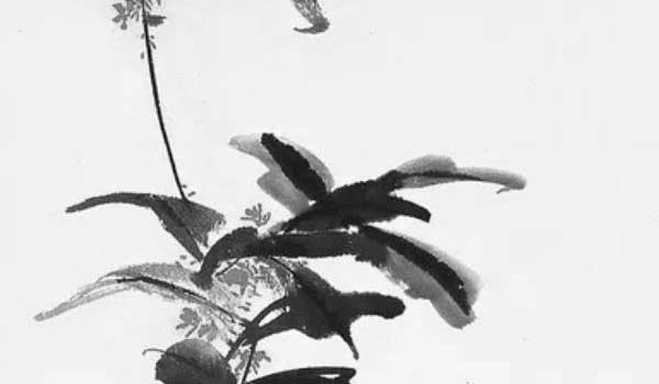 好房子進門就看到什麼風水好 中國結提升金錢運勢