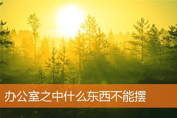 辦公室之中什麼東西不能擺