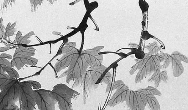 客廳沙發應該朝哪邊