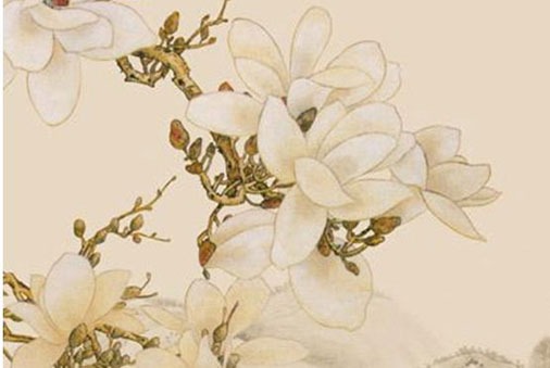 000這個數字吉利嗎 帶財富的大吉車牌號碼