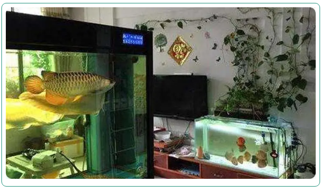 客廳風水有問題，難怪運氣不好