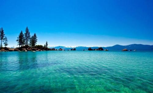 海螺擺放在客廳對風水有什麼影響？