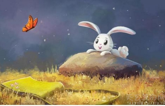 屬兔人出生日的命運   比較好命的屬兔人的出生時間