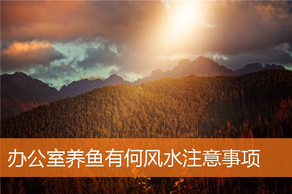 辦公室養魚有何風水注意事項