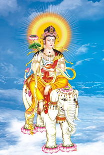 普賢菩薩本命佛是拿的如意嗎,普賢菩薩本命佛是什麼?