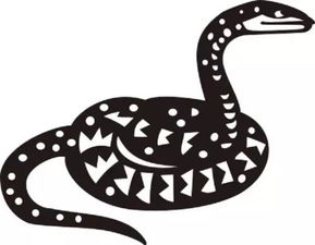 什麼屬相能帶虎牙,81年屬雞的可以戴虎牙么