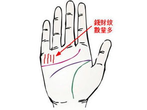 富貴命的八字有什麼特徵,富貴命的八字有什麼特徵