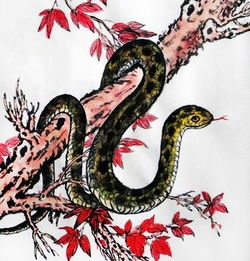 女蛇找個什麼屬相最好,屬蛇女和什麼屬相最合適
