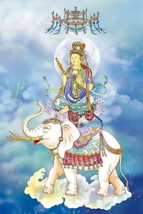 我的本命佛普賢菩薩,普賢菩薩本命佛是什麼?