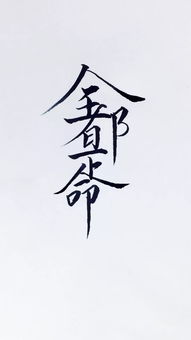 十宮二度是什麼命,1980 10月27日是什麼命