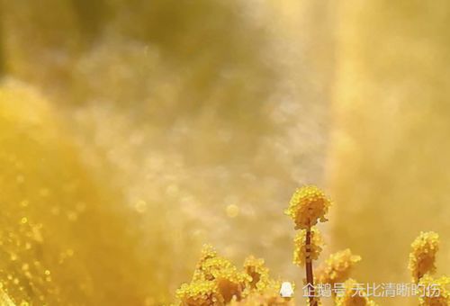 本命好事連連的生肖,本命年戴什麼生肖(會有好運)