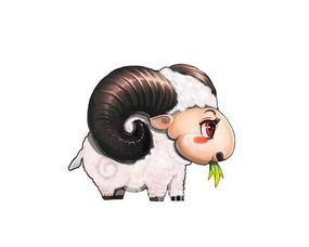 1955出生的什麼命命,1955年是什麼命,1955年出生是什麼命