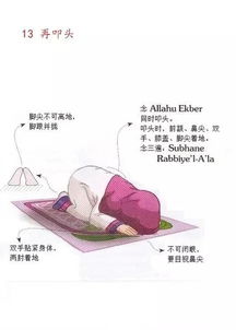 主命拜還可以念什麼,***禮拜儀式及念詞