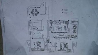 屬兔坐西向東最佳風水布局,肖兔人死後在東南西北中能埋哪個方向?