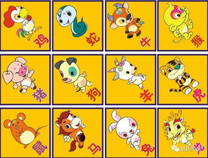 水命過旺的人適合戴什麼顏色,水命的人戴什麼