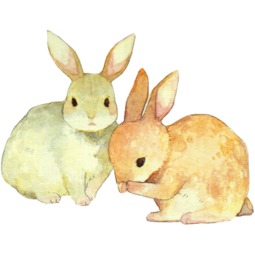 屬相兔幾月出生好,屬兔幾月生日好