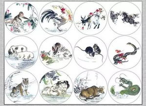 屬相不合星座合會怎樣,屬相相害但是星座相合的人在一起好嗎