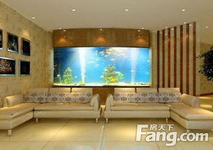 客廳養魚風水禁忌,客廳養魚風水的禁忌有哪些