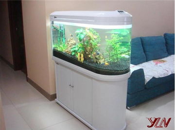 風水學魚缸的擺設禁忌,魚缸擺放風水有哪些有哪些禁忌?