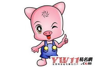 屬豬女生和什麼屬相配,屬豬的婚姻和哪個屬相和