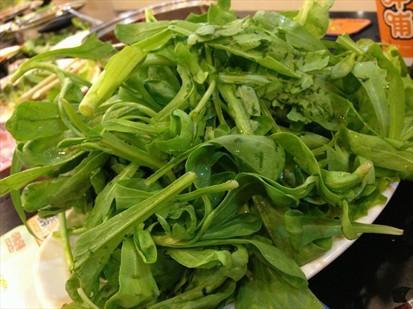 蓬蒿是什麼意思,仰天大笑出門去,我輩豈是蓬蒿人中的蓬蒿什麼意思