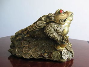 金蟾代表那個屬相,金蟾是什麼動物