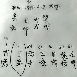 1995生屬於什麼木命,1995年是什麼命