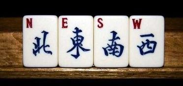 為什麼打麻將天天輸,我打麻將老輸怎麼回事