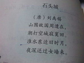 春曉表達了詩人怎樣的思想感情,春曉這首古詩表達了作者的什麼思想感情