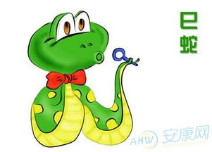 屬蛇女生和什麼屬相配,女孩子屬蛇的和哪些屬相般配