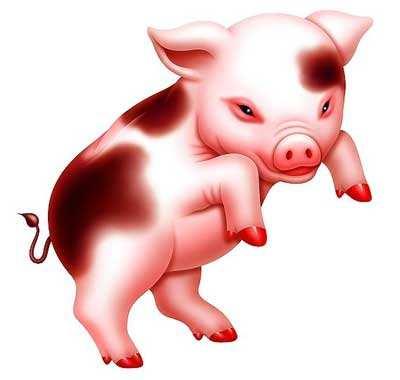 屬豬的男孩子12歲本命戴什麼,屬豬的本命年佩戴什麼首飾