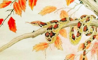 屬相適合居住的方位,屬相住宅風水住宅結構風水搜狗問問