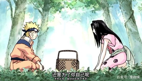 六白命人什麼意思是什麼,女九紫男六白是什麼意思