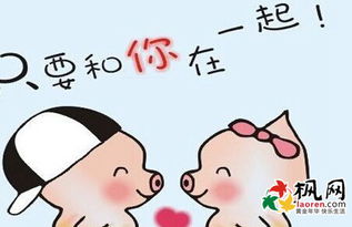 95豬和什麼屬相最配對,95年屬豬的和什麼屬相最配