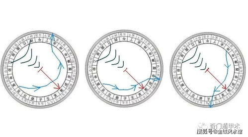 午山子向最好風水布局水法旺什麼,請風水大師幫我布局一下坐午向子的房子