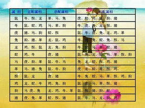 屬馬的配對屬相婚配表,屬馬的和什麼屬相最相配12屬相婚配表