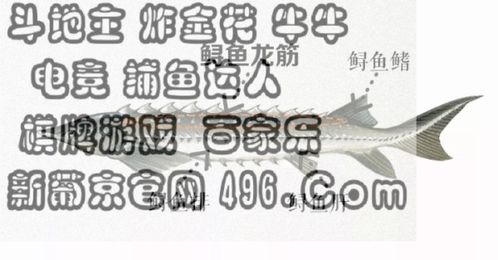 屬相配對真的准么,屬相婚配准嗎