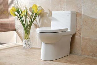 用別人拆下來的馬桶風水禁忌,衛生間馬桶風水禁忌有哪些?